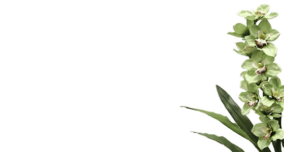Of Le Nature Flowers Wellington 697 Florist Flower Delivery In Wellington Nz One Off Bouquets